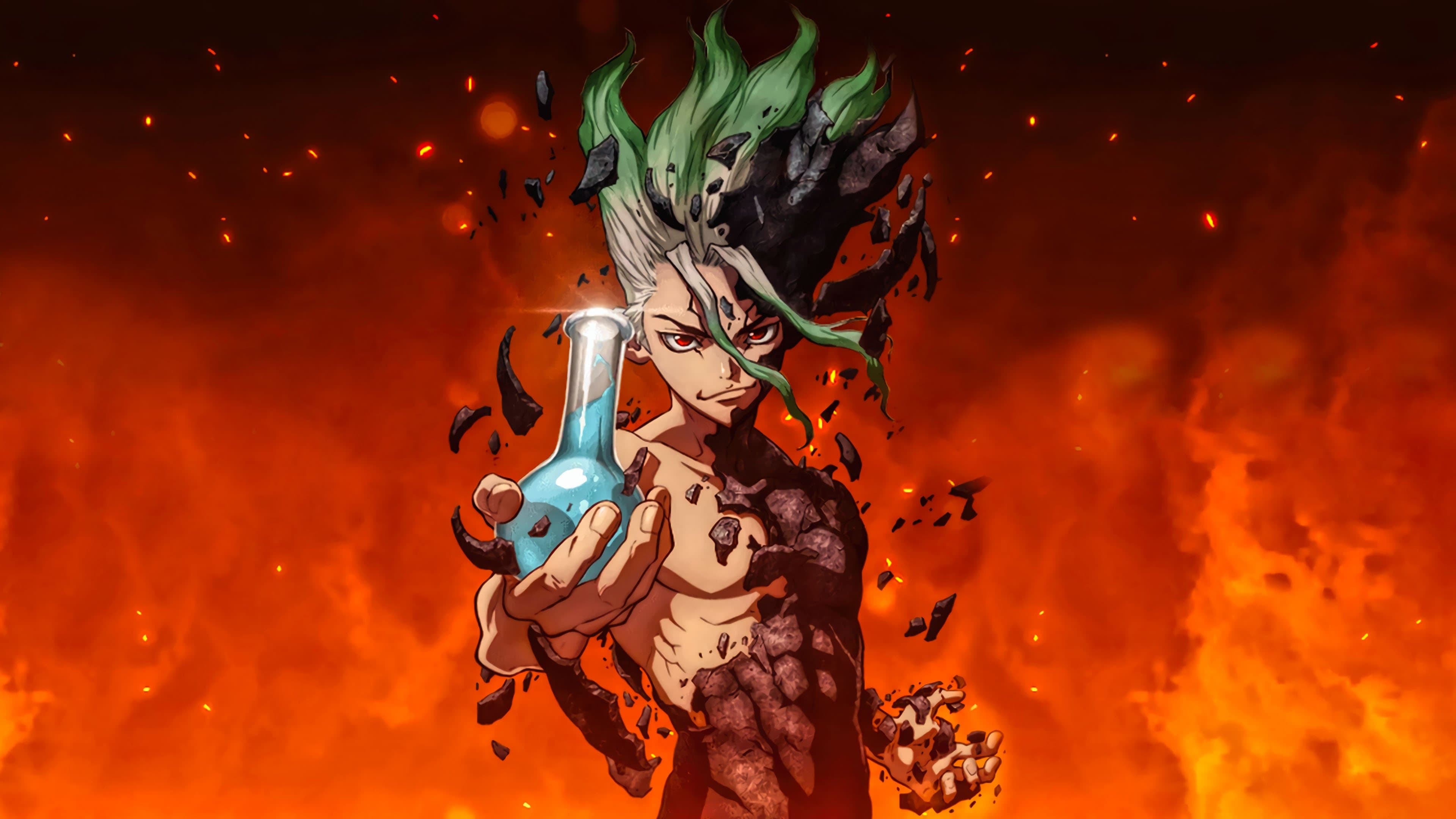 Dr. Stone Vider