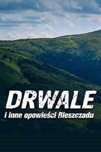 Drwale i inne opowieści Bieszczadu Vider
